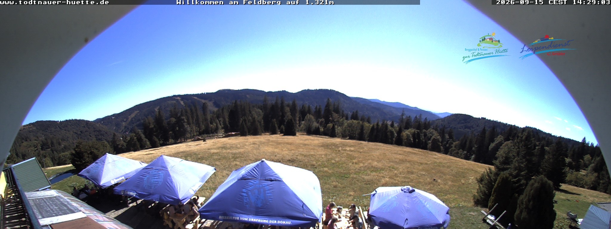 Archiv Foto Webcam Todtnauer Hütte, Schwarzwald