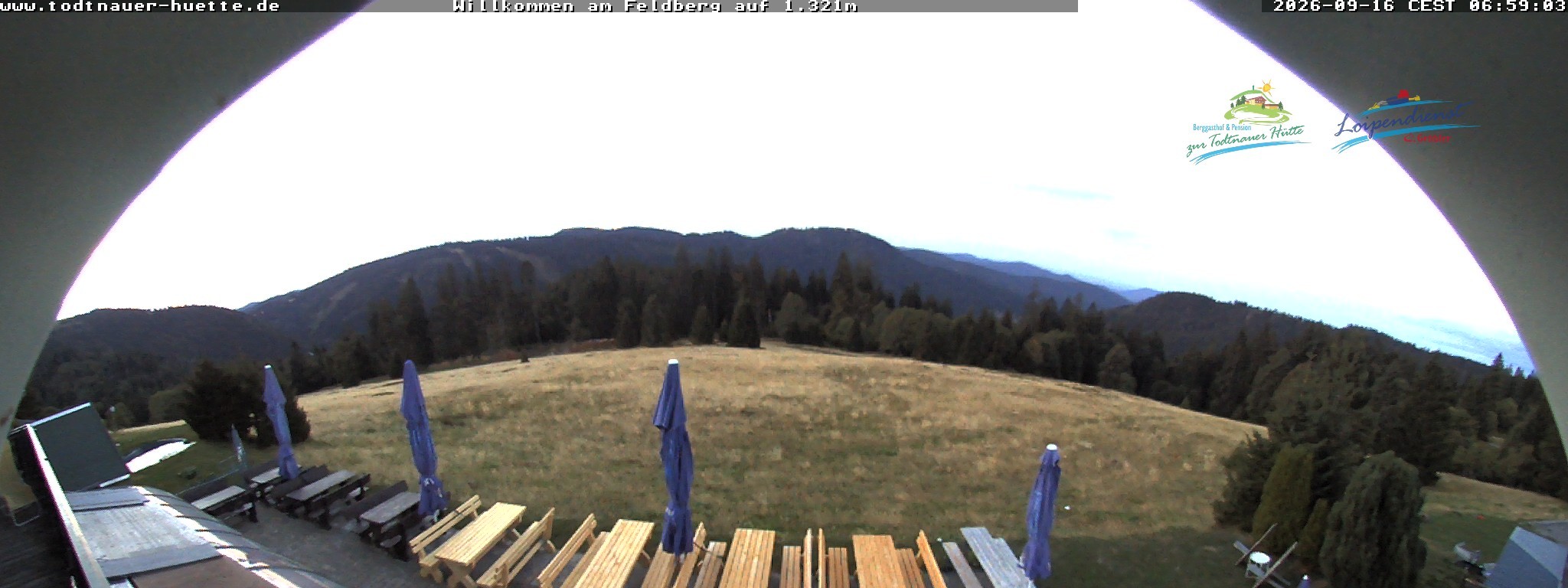 Archiv Foto Webcam Todtnauer Hütte, Schwarzwald