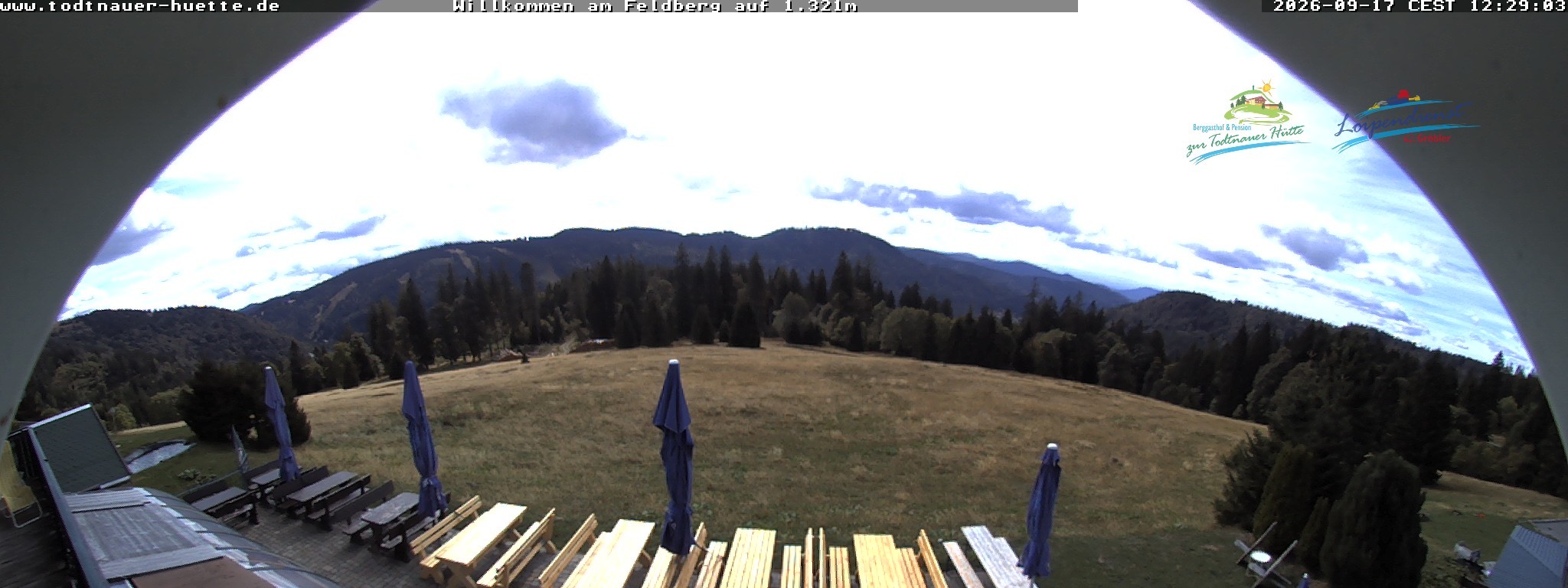 Archiv Foto Webcam Todtnauer Hütte, Schwarzwald