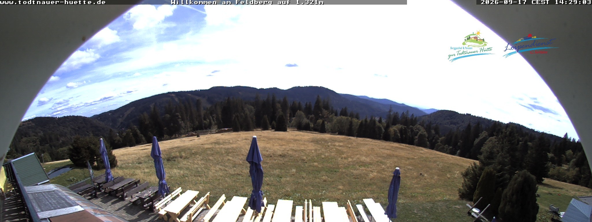 Archiv Foto Webcam Todtnauer Hütte, Schwarzwald