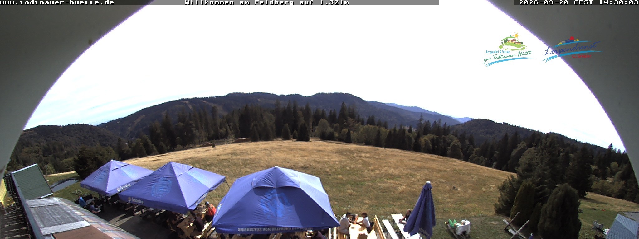 Archiv Foto Webcam Todtnauer Hütte, Schwarzwald