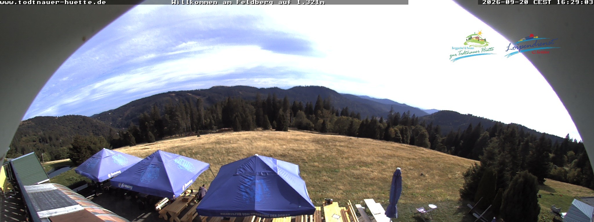 Archiv Foto Webcam Todtnauer Hütte, Schwarzwald