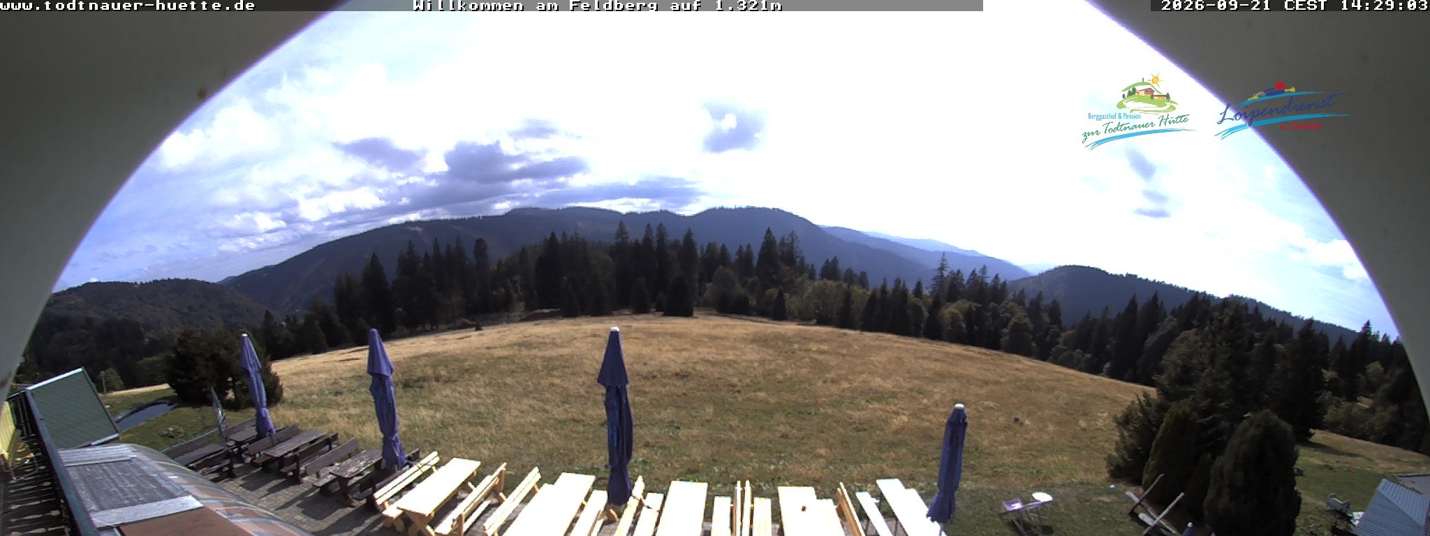 Archiv Foto Webcam Todtnauer Hütte, Schwarzwald