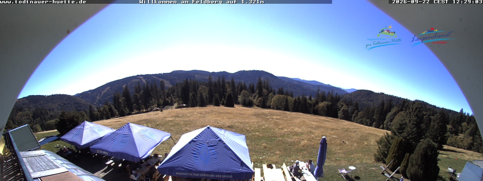 Archived image Webcam Todtnau mountain hut, Black Forest