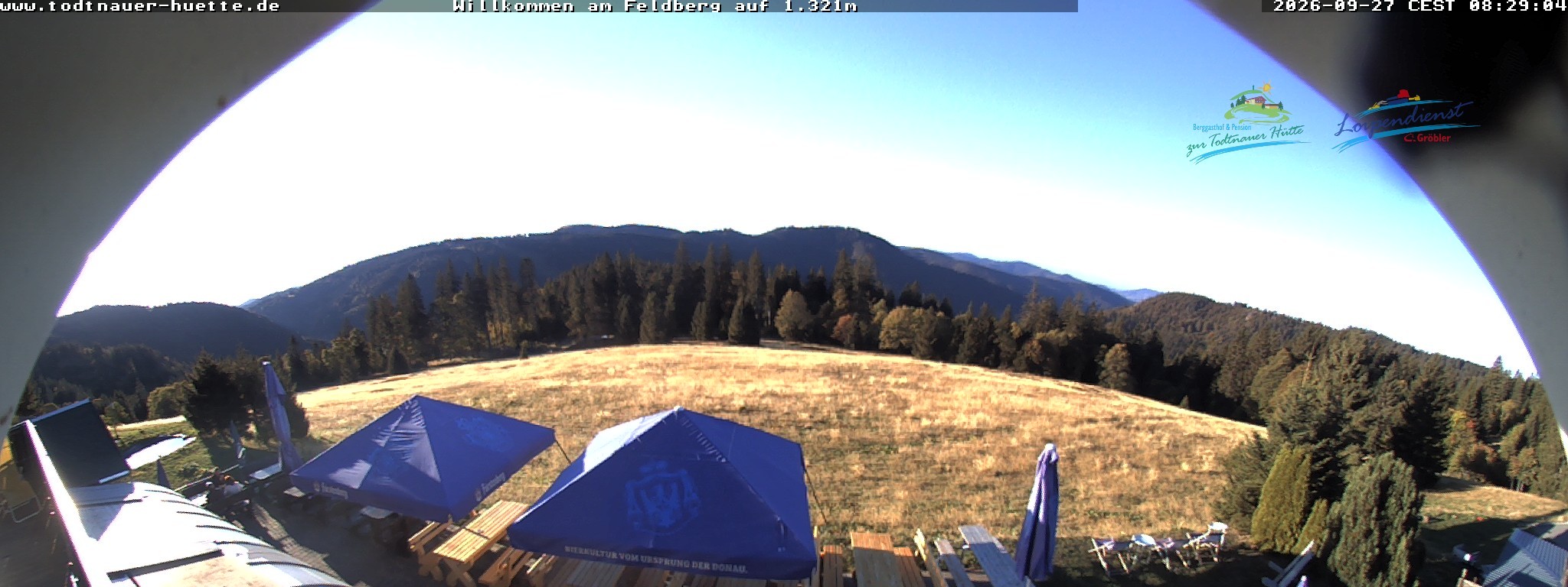 Archiv Foto Webcam Todtnauer Hütte, Schwarzwald