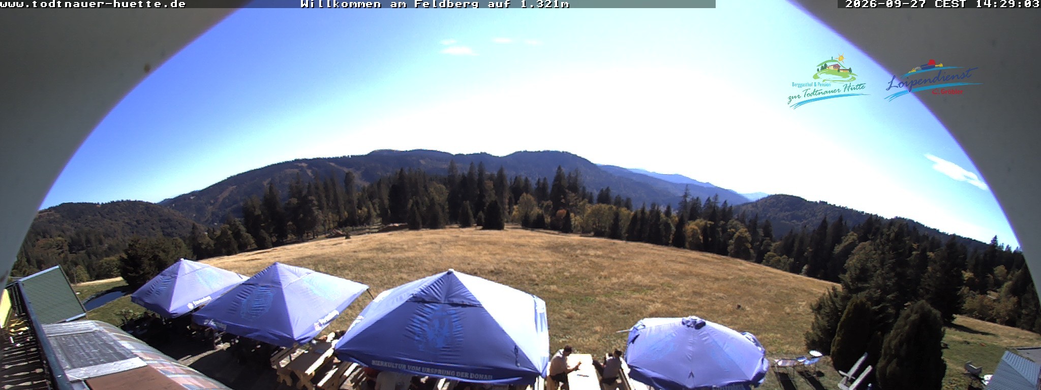 Archiv Foto Webcam Todtnauer Hütte, Schwarzwald