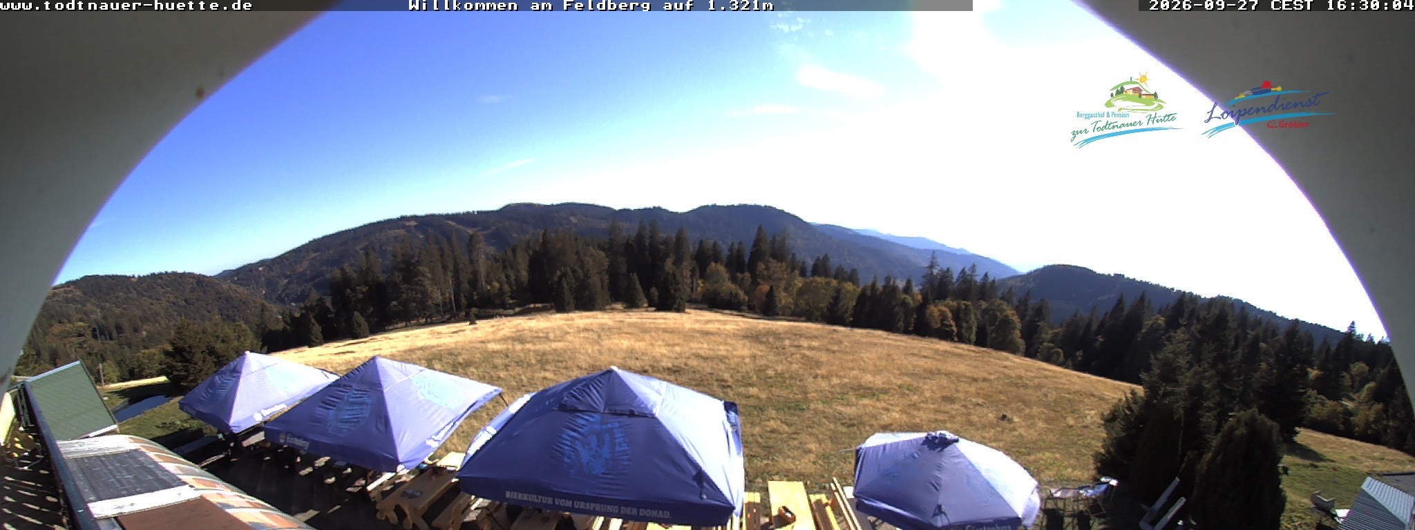 Archiv Foto Webcam Todtnauer Hütte, Schwarzwald