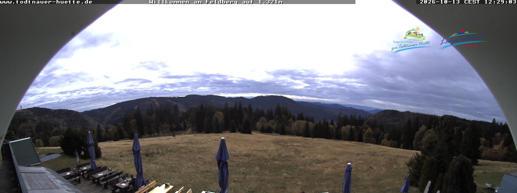 Archiv Foto Webcam Todtnauer Hütte, Schwarzwald