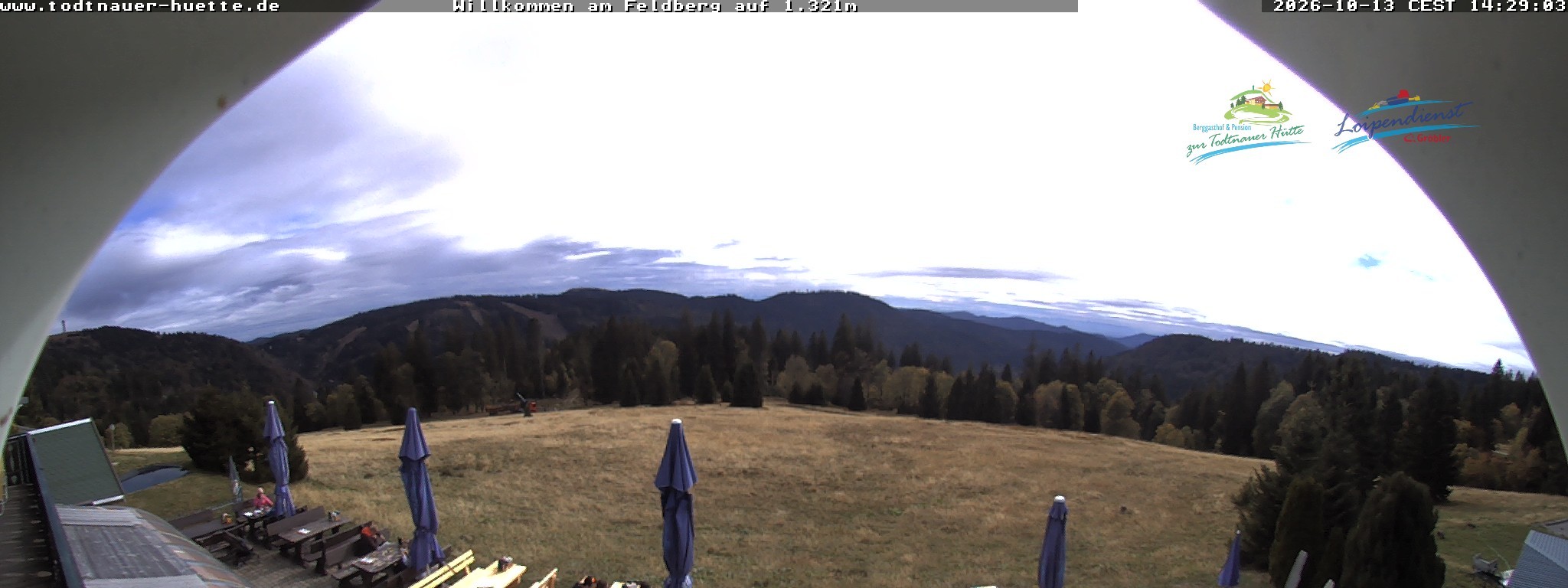 Archiv Foto Webcam Todtnauer Hütte, Schwarzwald