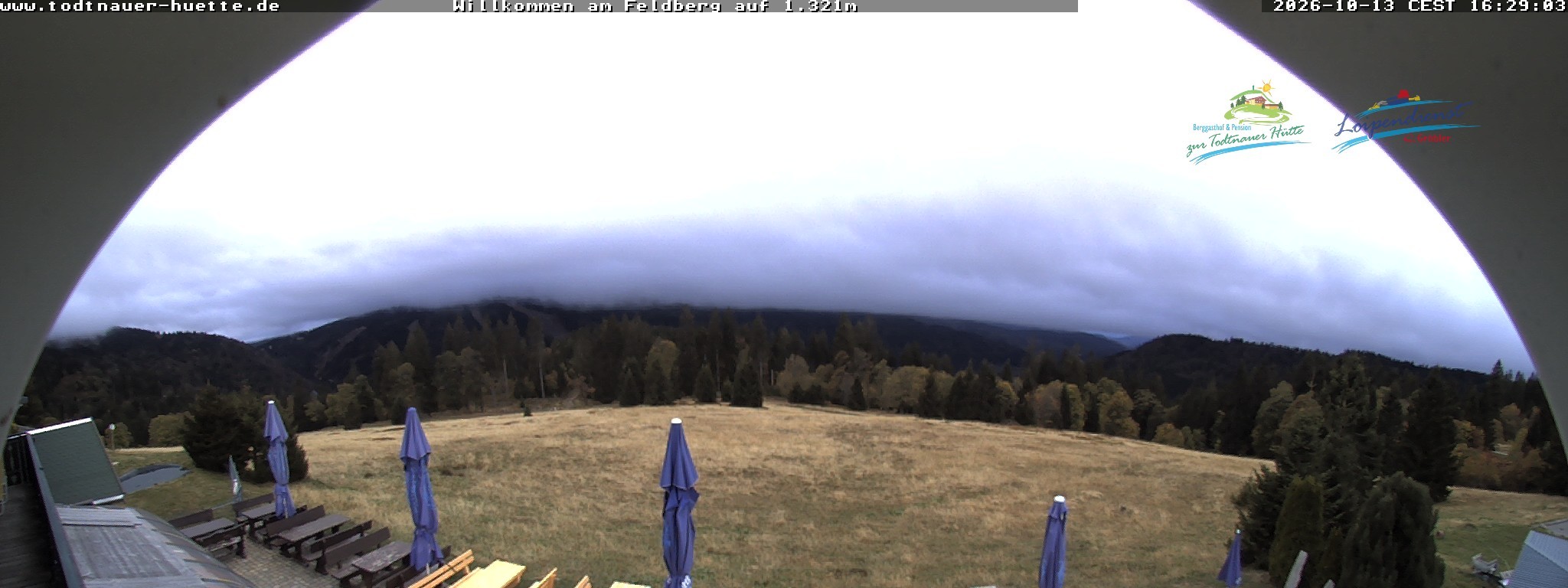 Archiv Foto Webcam Todtnauer Hütte, Schwarzwald