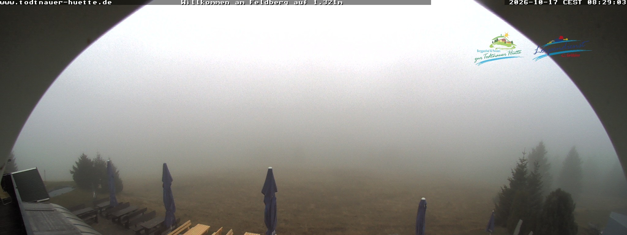 Archiv Foto Webcam Todtnauer Hütte, Schwarzwald