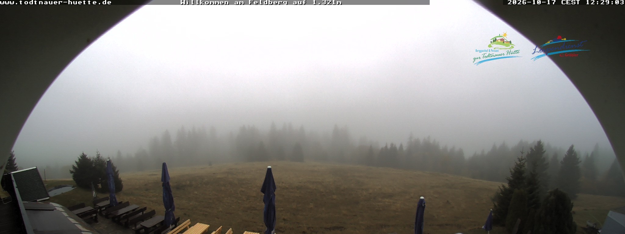 Archiv Foto Webcam Todtnauer Hütte, Schwarzwald