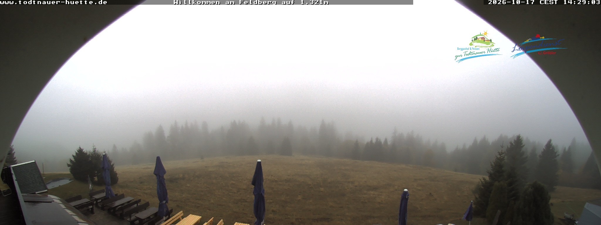 Archiv Foto Webcam Todtnauer Hütte, Schwarzwald