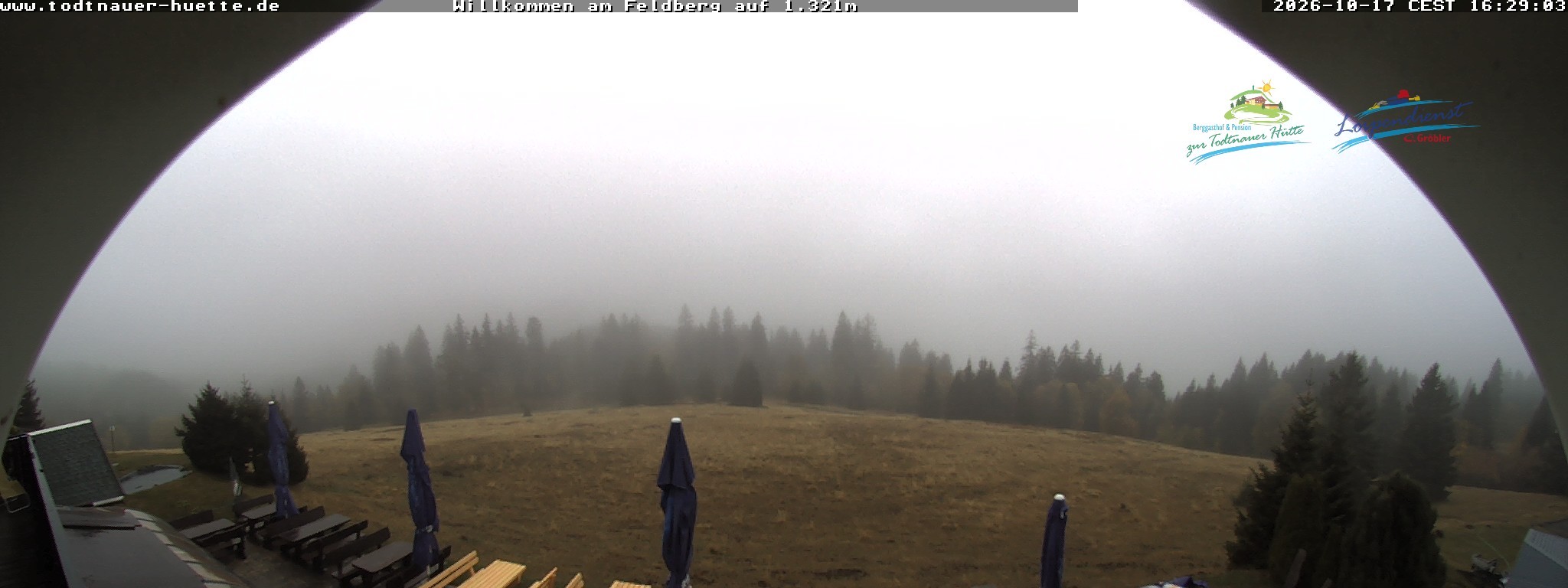 Archiv Foto Webcam Todtnauer Hütte, Schwarzwald