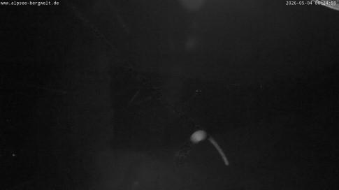 Archived image Webcam Alpsee chair lift (Alpsee Coaster)