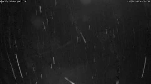Archived image Webcam Alpsee chair lift (Alpsee Coaster)