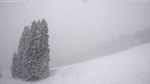 Archived image Webcam Alpsee chair lift (Alpsee Coaster)