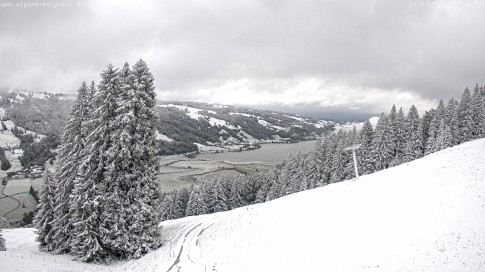 Archived image Webcam Alpsee chair lift (Alpsee Coaster)