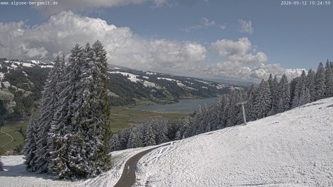 Archived image Webcam Alpsee chair lift (Alpsee Coaster)
