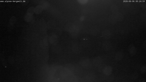 Archived image Webcam Alpsee chair lift (Alpsee Coaster)