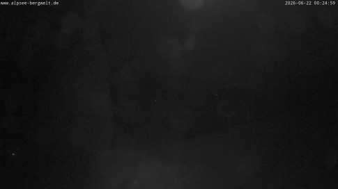 Archived image Webcam Alpsee chair lift (Alpsee Coaster)
