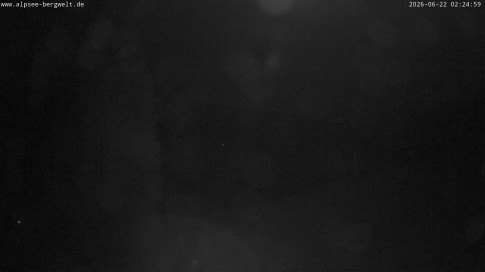Archived image Webcam Alpsee chair lift (Alpsee Coaster)