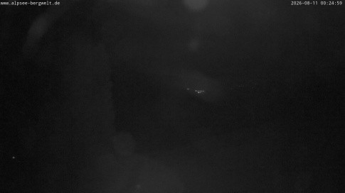 Archived image Webcam Alpsee chair lift (Alpsee Coaster)