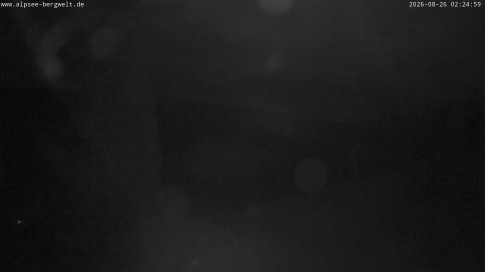Archived image Webcam Alpsee chair lift (Alpsee Coaster)