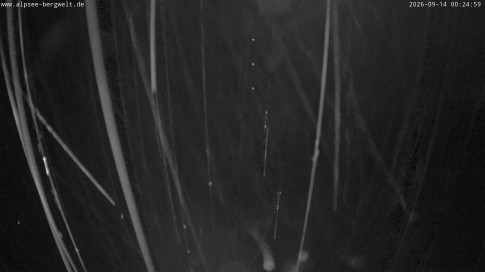 Archived image Webcam Alpsee chair lift (Alpsee Coaster)