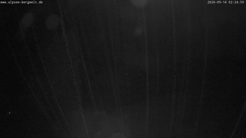 Archived image Webcam Alpsee chair lift (Alpsee Coaster)