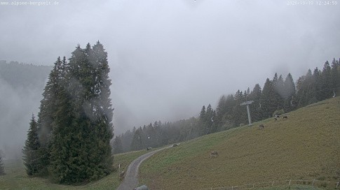 Archived image Webcam Alpsee chair lift (Alpsee Coaster)