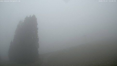 Archiv Foto Webcam Immenstadt: Alpsee Bergwelt Sesselbahn