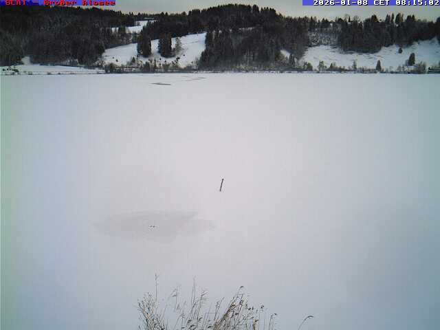 Archiv Foto Webcam Großer Alpsee bei Immenstadt