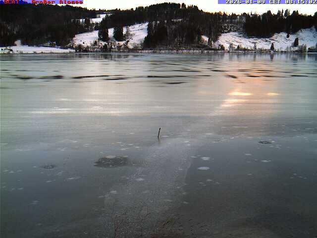 Archiv Foto Webcam Großer Alpsee bei Immenstadt