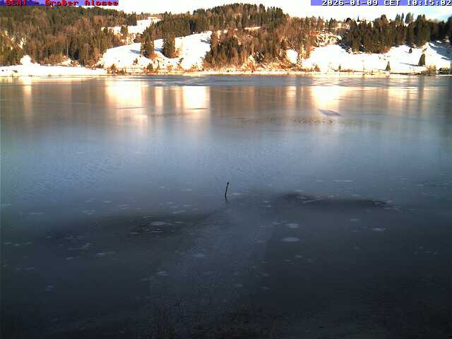 Archiv Foto Webcam Großer Alpsee bei Immenstadt