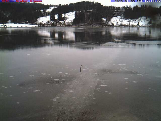 Archiv Foto Webcam Großer Alpsee bei Immenstadt