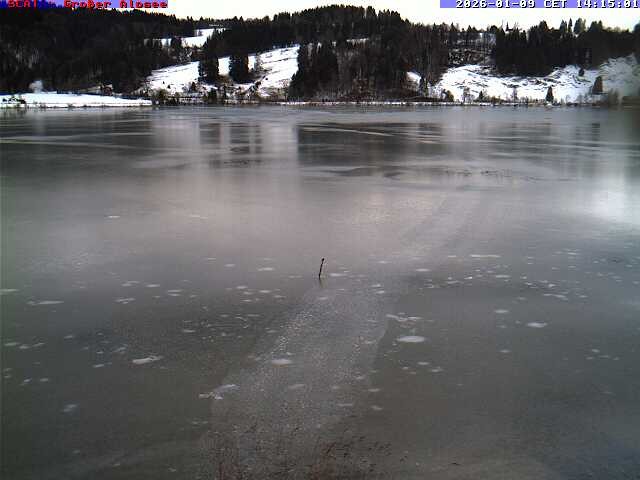 Archiv Foto Webcam Großer Alpsee bei Immenstadt
