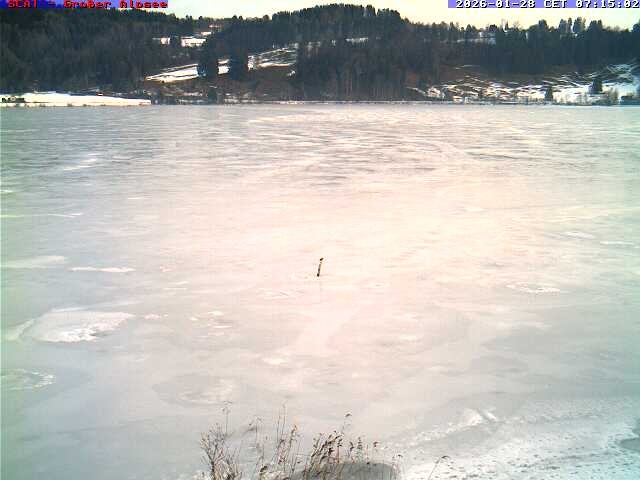 Archiv Foto Webcam Großer Alpsee bei Immenstadt