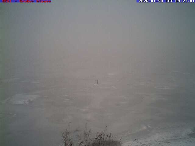 Archiv Foto Webcam Großer Alpsee bei Immenstadt