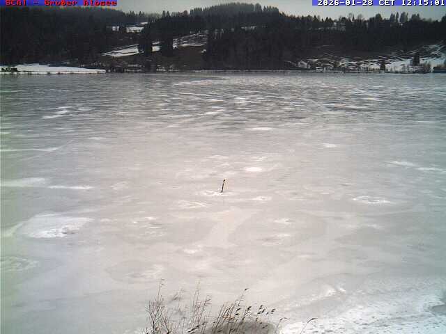 Archiv Foto Webcam Großer Alpsee bei Immenstadt