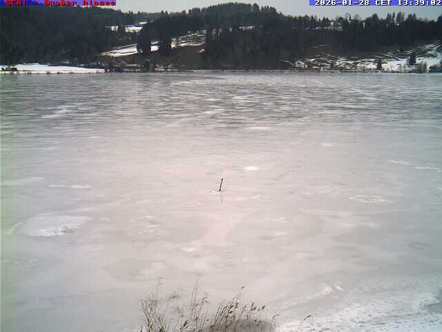 Archiv Foto Webcam Großer Alpsee bei Immenstadt