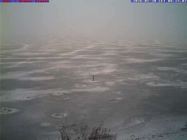 Archived image Webcam Lake "Großer Alpsee"