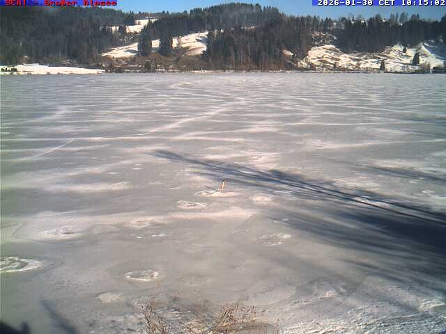 Archived image Webcam Lake "Großer Alpsee"