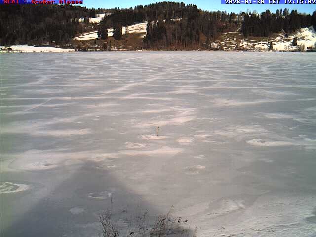 Archiv Foto Webcam Großer Alpsee bei Immenstadt