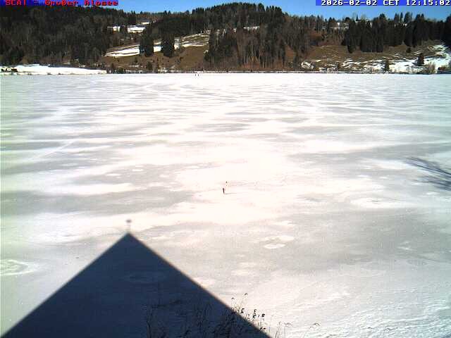 Archiv Foto Webcam Großer Alpsee bei Immenstadt