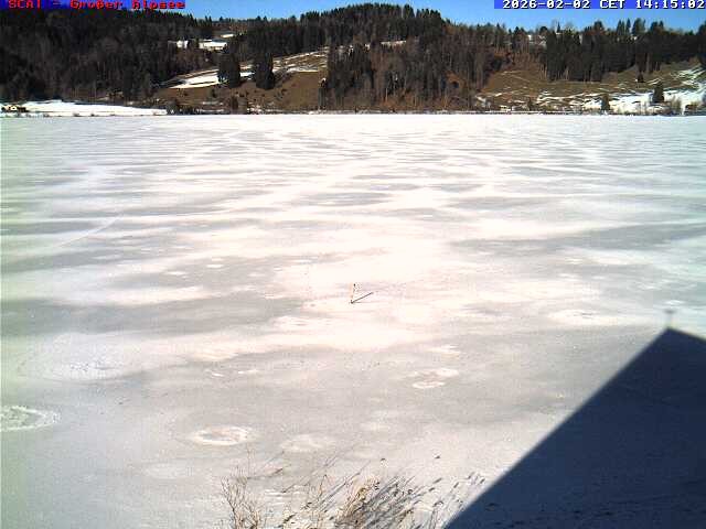 Archiv Foto Webcam Großer Alpsee bei Immenstadt