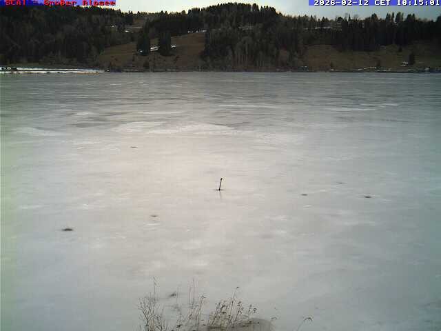 Archiv Foto Webcam Großer Alpsee bei Immenstadt