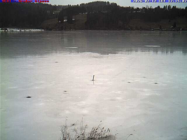 Archiv Foto Webcam Großer Alpsee bei Immenstadt