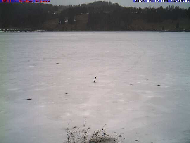 Archiv Foto Webcam Großer Alpsee bei Immenstadt