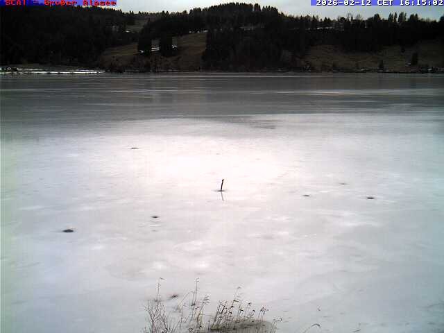 Archiv Foto Webcam Großer Alpsee bei Immenstadt